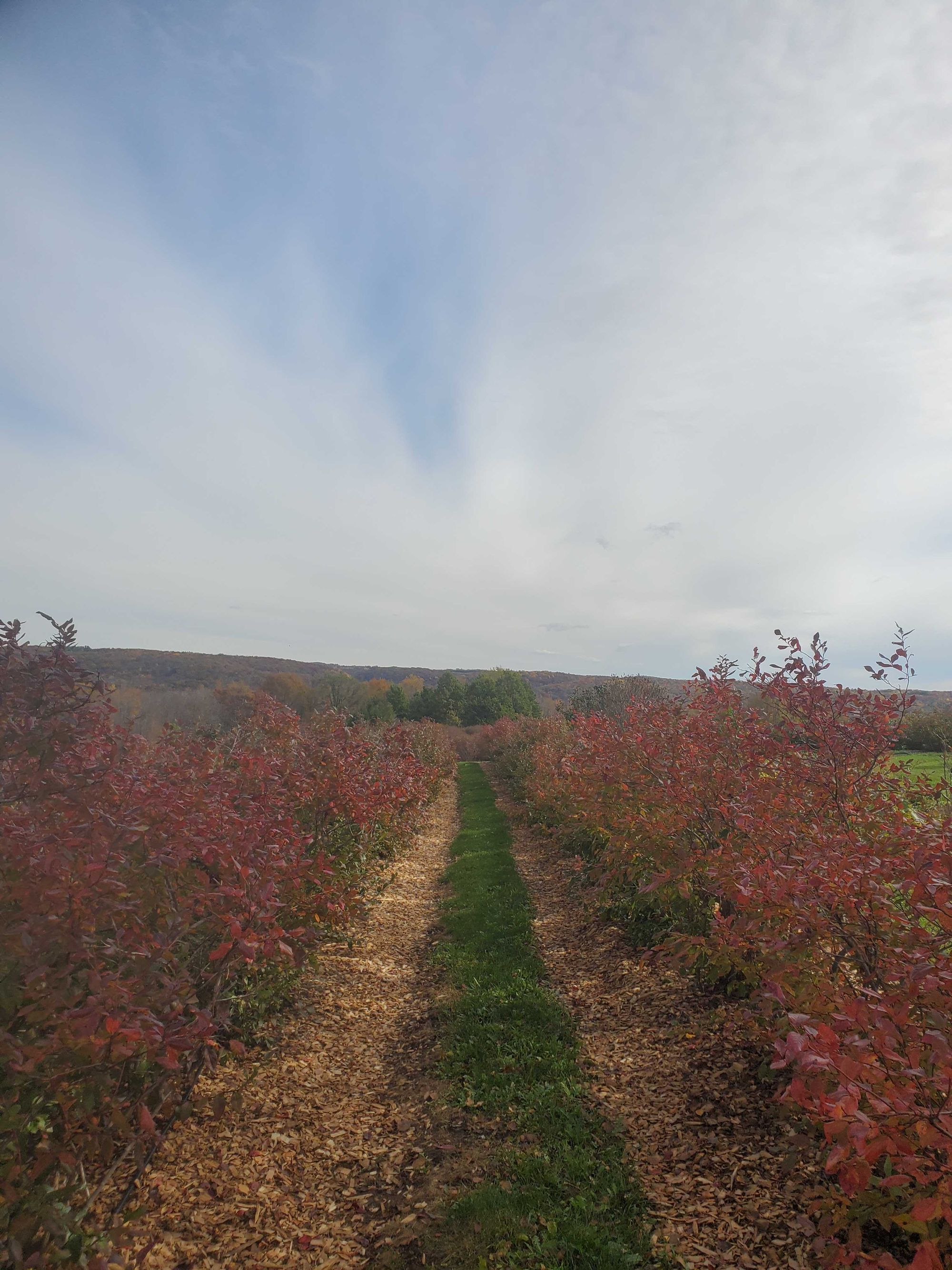 Rolling Regenerative Soil Carbon Kickoff Event