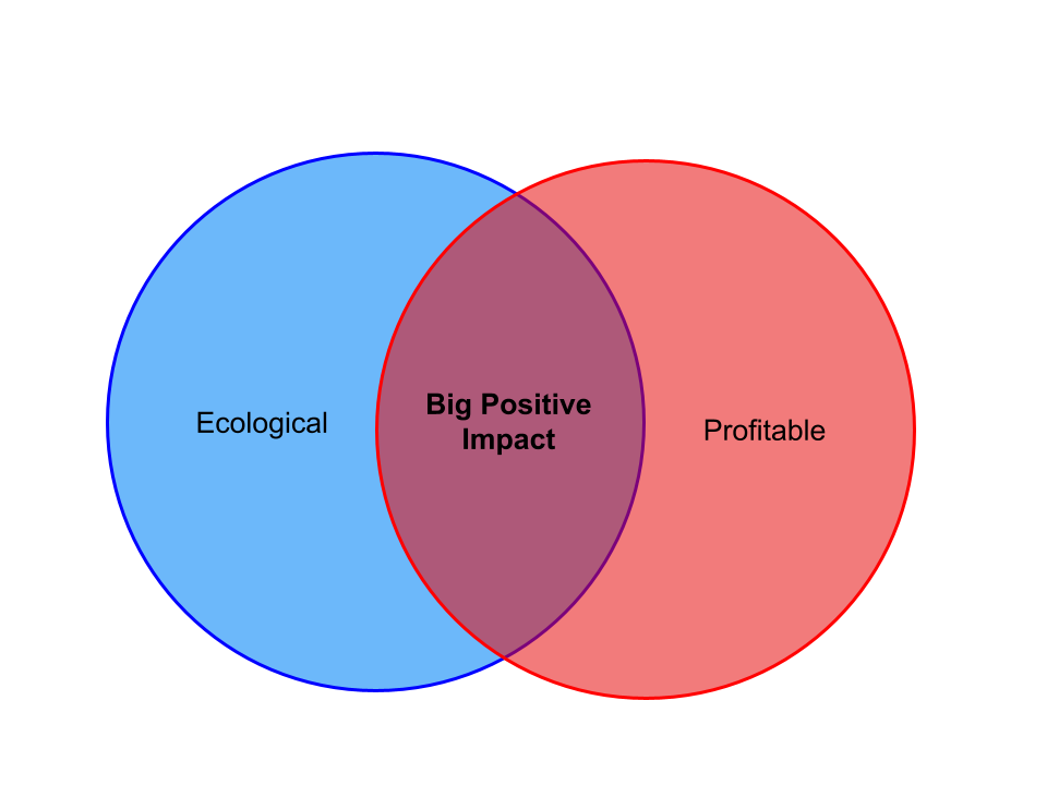 Investing in Regenerative Agriculture