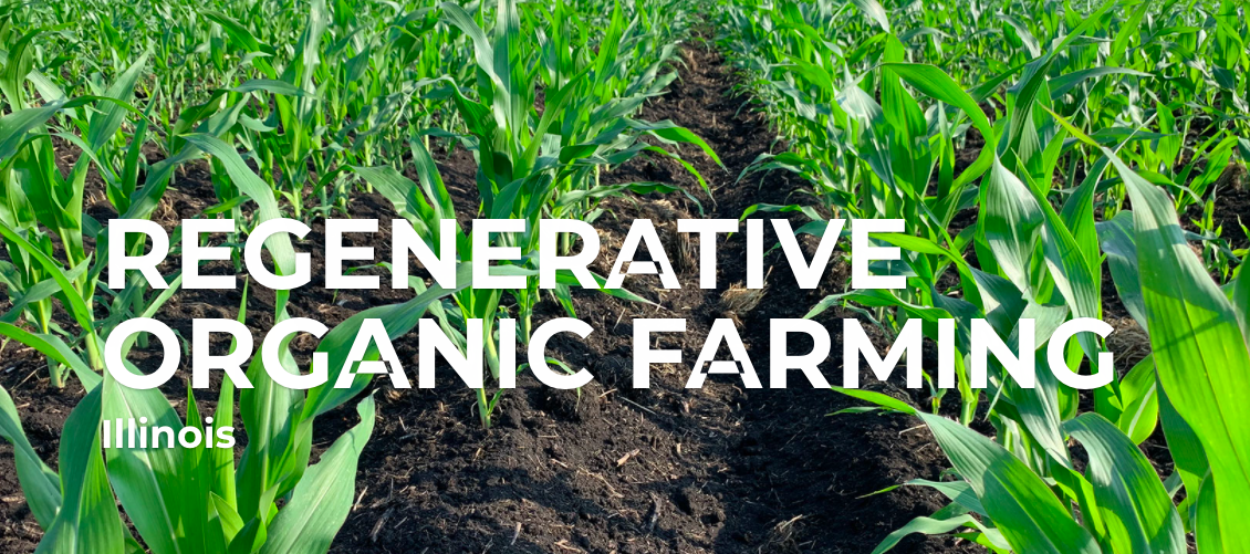 Investing in Regenerative Agriculture